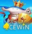 acewin